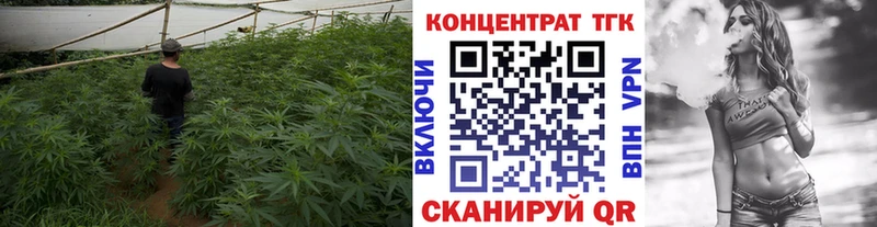 Дистиллят ТГК Wax  Сельцо 
